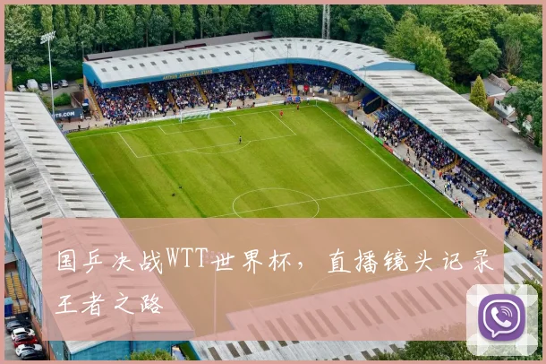国乒决战WTT世界杯,直播镜头记录王者之路