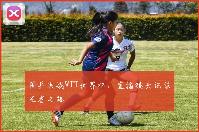 国乒决战WTT世界杯,直播镜头记录王者之路