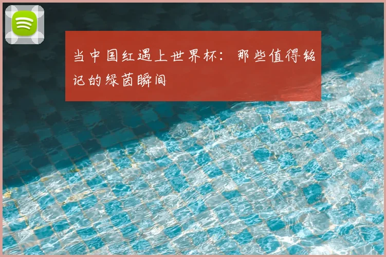 当中国红遇上世界杯:那些值得铭记的绿茵瞬间