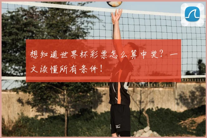 想知道世界杯彩票怎么算中奖？一文读懂所有条件！